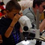 Children's School of Science: examining insects
