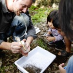 Benoit Guénard and his team, collecting ants. Photo: OIST.